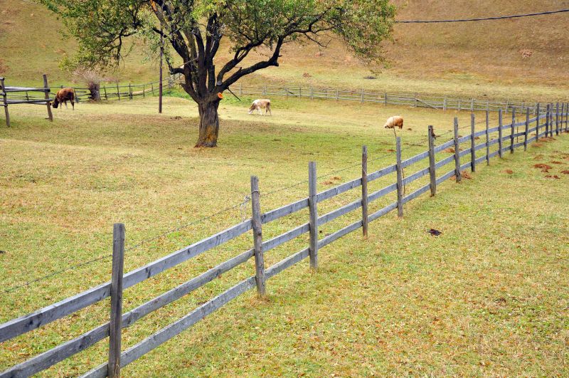 Sheep Fence Installation